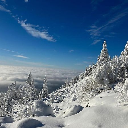 KostelApartmány Liberec Exteriér fotografie
