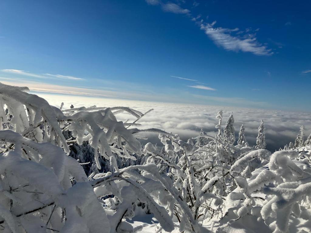 KostelApartmány Liberec Exteriér fotografie