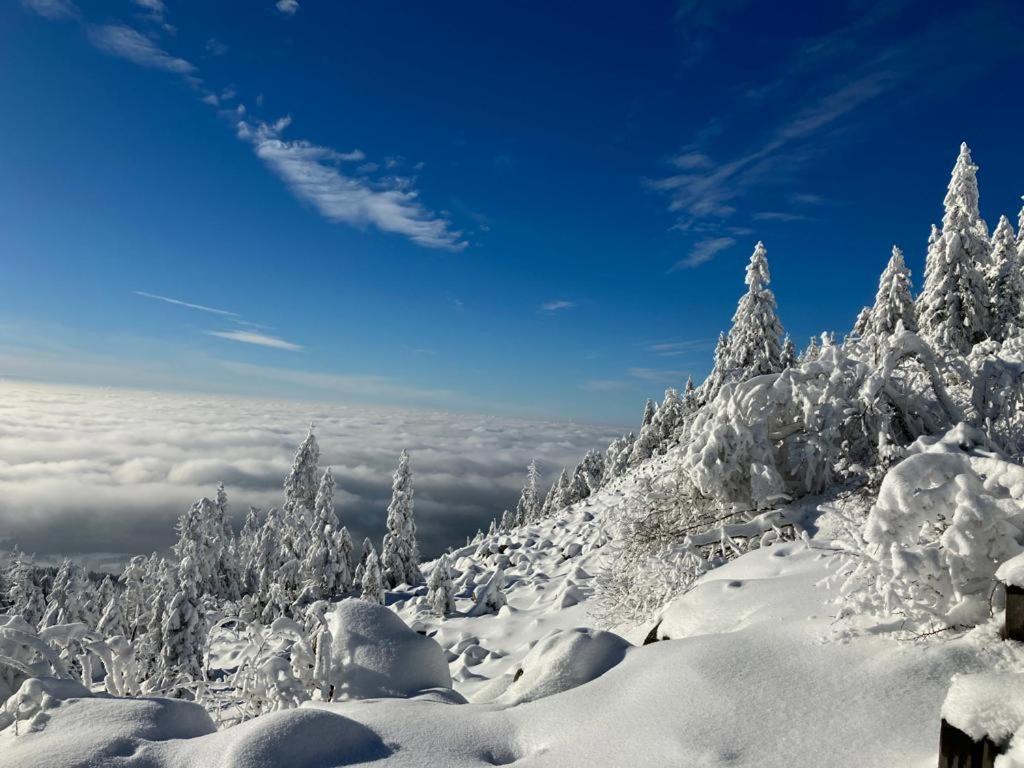 KostelApartmány Liberec Exteriér fotografie